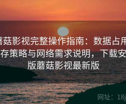 蘑菇影视完整操作指南：数据占用、缓存策略与网络需求说明，下载安卓版蘑菇影视最新版