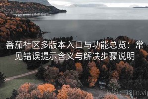 番茄社区多版本入口与功能总览：常见错误提示含义与解决步骤说明