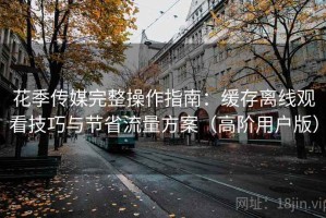 花季传媒完整操作指南：缓存离线观看技巧与节省流量方案（高阶用户版）