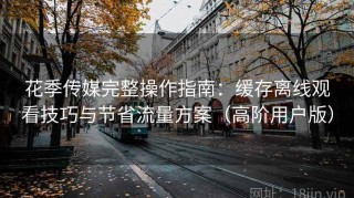 花季传媒完整操作指南：缓存离线观看技巧与节省流量方案（高阶用户版）