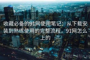 收藏必备的91网使用笔记：从下载安装到熟练使用的完整流程，91网怎么上的