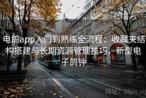 电鸽app入门到熟练全流程：收藏夹结构搭建与长期资源管理技巧，新型电子鸽钟