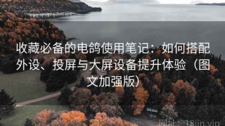 收藏必备的电鸽使用笔记：如何搭配外设、投屏与大屏设备提升体验（图文加强版）