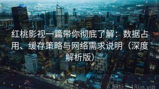 红桃影视一篇带你彻底了解：数据占用、缓存策略与网络需求说明（深度解析版）