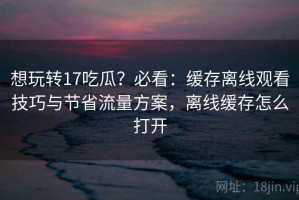 想玩转17吃瓜？必看：缓存离线观看技巧与节省流量方案，离线缓存怎么打开
