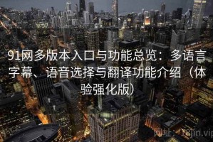 91网多版本入口与功能总览：多语言字幕、语音选择与翻译功能介绍（体验强化版）