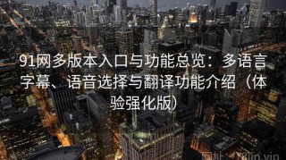 91网多版本入口与功能总览：多语言字幕、语音选择与翻译功能介绍（体验强化版）