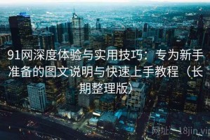 91网深度体验与实用技巧：专为新手准备的图文说明与快速上手教程（长期整理版）