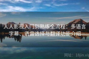 人人影视入门到熟练全流程：多语言字幕、语音选择与翻译功能介绍