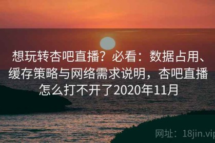 想玩转杏吧直播？必看：数据占用、缓存策略与网络需求说明，杏吧直播怎么打不开了2020年11月