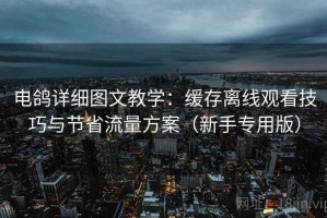 电鸽详细图文教学：缓存离线观看技巧与节省流量方案（新手专用版）