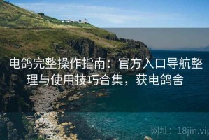 电鸽完整操作指南：官方入口导航整理与使用技巧合集，获电鸽舍
