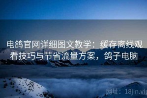 电鸽官网详细图文教学：缓存离线观看技巧与节省流量方案，鸽子电脑