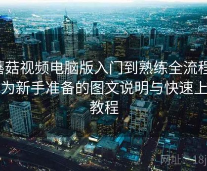 蘑菇视频电脑版入门到熟练全流程：专为新手准备的图文说明与快速上手教程
