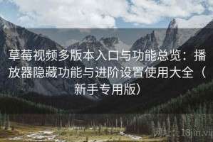 草莓视频多版本入口与功能总览：播放器隐藏功能与进阶设置使用大全（新手专用版）