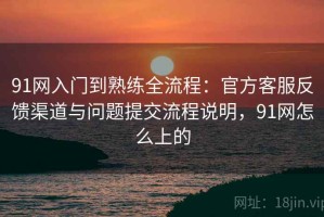 91网入门到熟练全流程：官方客服反馈渠道与问题提交流程说明，91网怎么上的