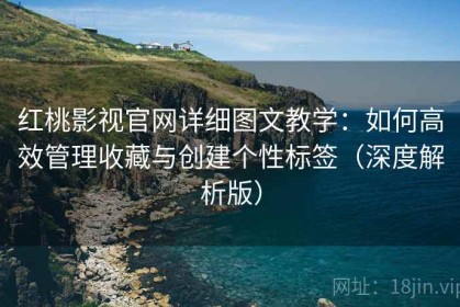红桃影视官网详细图文教学：如何高效管理收藏与创建个性标签（深度解析版）
