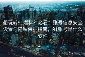 想玩转91爆料？必看：账号信息安全设置与隐私保护指南，91账号是什么软件