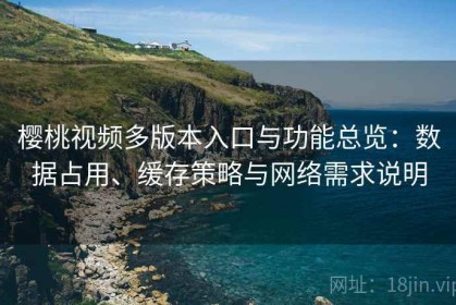 樱桃视频多版本入口与功能总览：数据占用、缓存策略与网络需求说明
