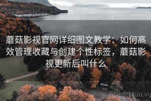蘑菇影视官网详细图文教学：如何高效管理收藏与创建个性标签，蘑菇影视更新后叫什么