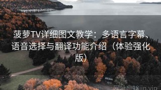 菠萝TV详细图文教学：多语言字幕、语音选择与翻译功能介绍（体验强化版）