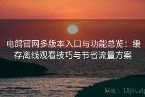电鸽官网多版本入口与功能总览：缓存离线观看技巧与节省流量方案