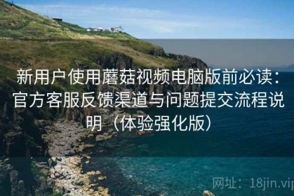 新用户使用蘑菇视频电脑版前必读：官方客服反馈渠道与问题提交流程说明（体验强化版）