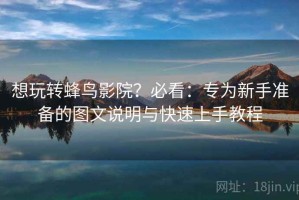 想玩转蜂鸟影院？必看：专为新手准备的图文说明与快速上手教程