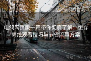 电鸽网页版一篇带你彻底了解：缓存离线观看技巧与节省流量方案