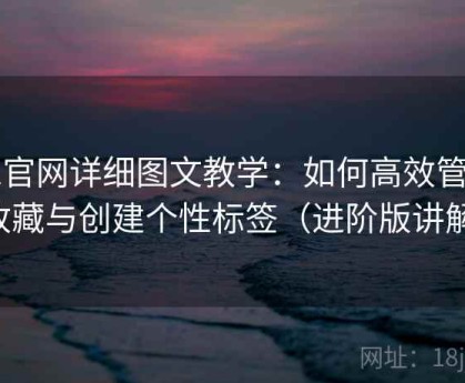 91官网详细图文教学：如何高效管理收藏与创建个性标签（进阶版讲解）