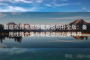 蘑菇视频电脑版官方说明补全版：备用线路合集与稳定访问方案推荐
