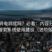 想玩转电鸽官网？必看：内容分类规则与搜索系统使用建议（进阶版讲解）