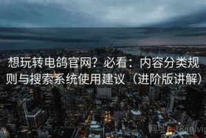 想玩转电鸽官网？必看：内容分类规则与搜索系统使用建议（进阶版讲解）