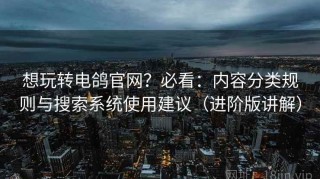 想玩转电鸽官网？必看：内容分类规则与搜索系统使用建议（进阶版讲解）
