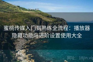 蜜桃传媒入门到熟练全流程：播放器隐藏功能与进阶设置使用大全