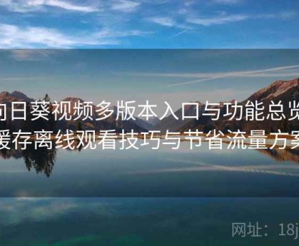 向日葵视频多版本入口与功能总览：缓存离线观看技巧与节省流量方案