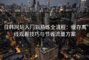 日韩网站入门到熟练全流程：缓存离线观看技巧与节省流量方案