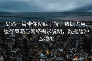 岛遇一篇带你彻底了解：数据占用、缓存策略与网络需求说明，数据缓冲区地址