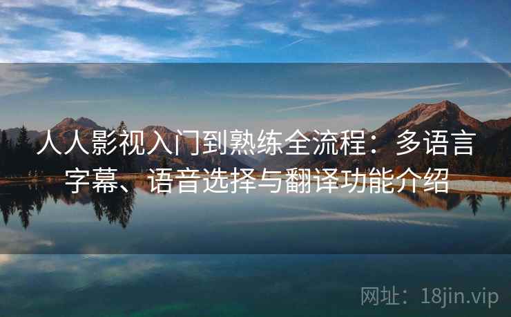 人人影视入门到熟练全流程：多语言字幕、语音选择与翻译功能介绍
