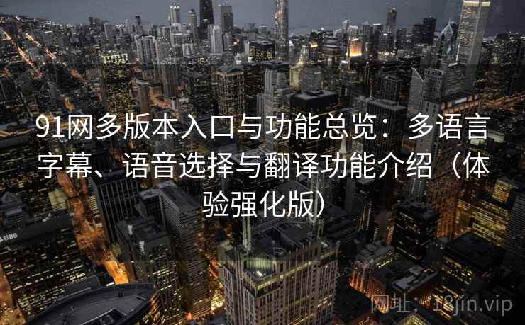 91网多版本入口与功能总览：多语言字幕、语音选择与翻译功能介绍（体验强化版）