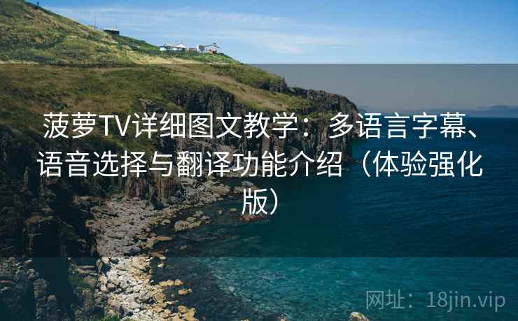 菠萝TV详细图文教学：多语言字幕、语音选择与翻译功能介绍（体验强化版）