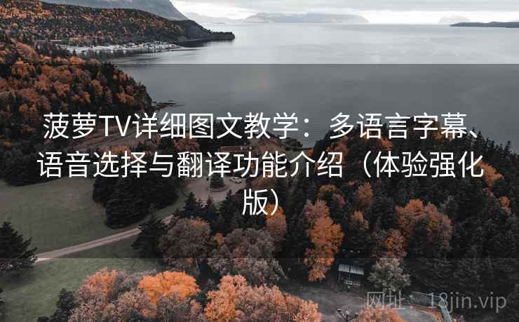菠萝TV详细图文教学：多语言字幕、语音选择与翻译功能介绍（体验强化版）