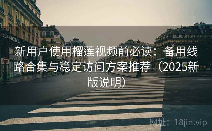 新用户使用榴莲视频前必读：备用线路合集与稳定访问方案推荐（2025新版说明）