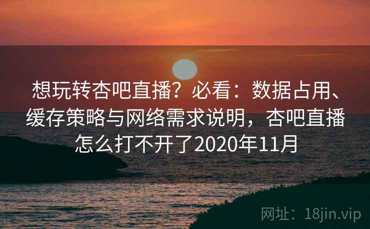 想玩转杏吧直播？必看：数据占用、缓存策略与网络需求说明，杏吧直播怎么打不开了2020年11月