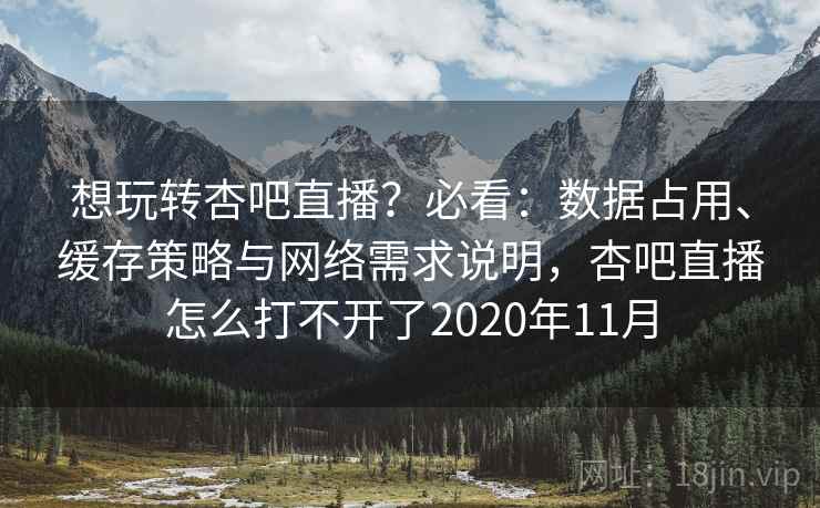 想玩转杏吧直播？必看：数据占用、缓存策略与网络需求说明，杏吧直播怎么打不开了2020年11月