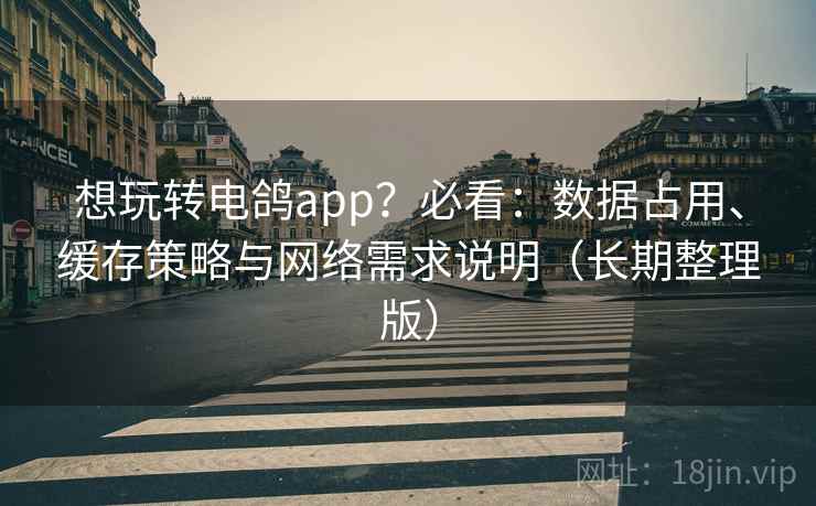 想玩转电鸽app？必看：数据占用、缓存策略与网络需求说明（长期整理版）