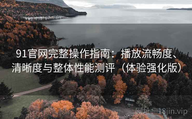 91官网完整操作指南：播放流畅度、清晰度与整体性能测评（体验强化版）