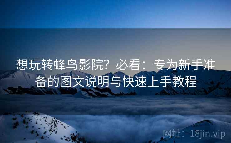 想玩转蜂鸟影院？必看：专为新手准备的图文说明与快速上手教程