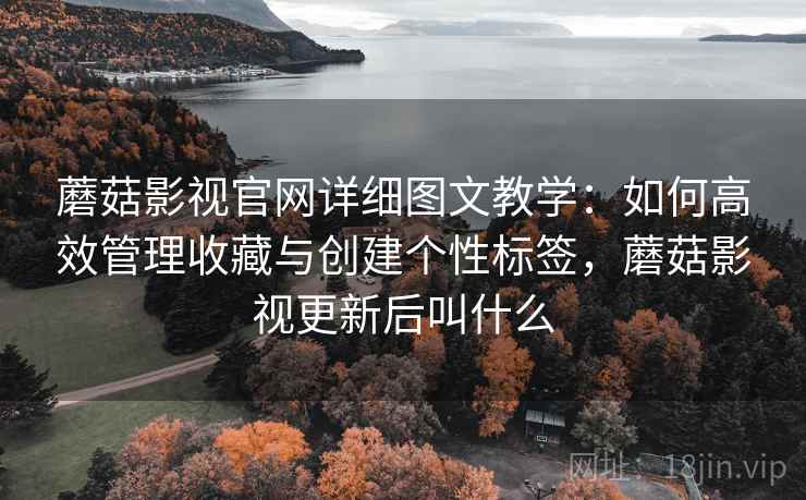 蘑菇影视官网详细图文教学：如何高效管理收藏与创建个性标签，蘑菇影视更新后叫什么