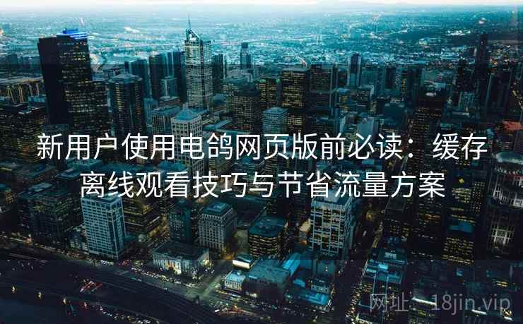 新用户使用电鸽网页版前必读：缓存离线观看技巧与节省流量方案